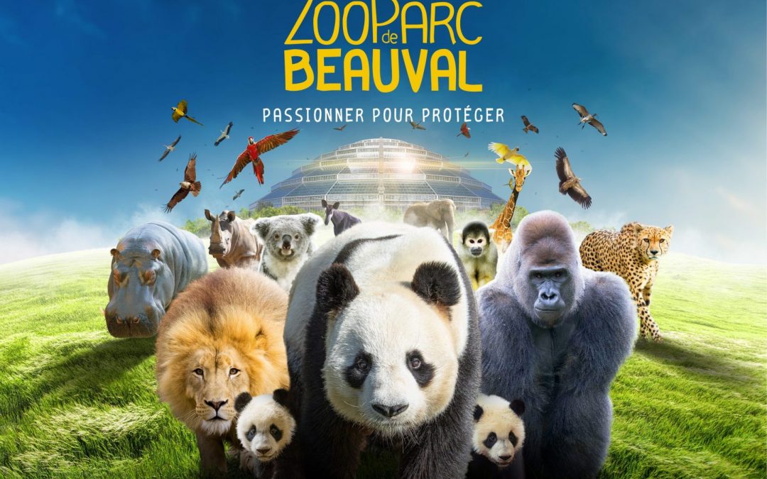 Offre Zoo Parc de BEAUVAL