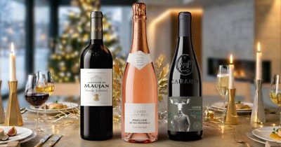 Campagne de vins VINIPRO Automne Hiver 2026 jusqu&rsquo;au 04/11/2026